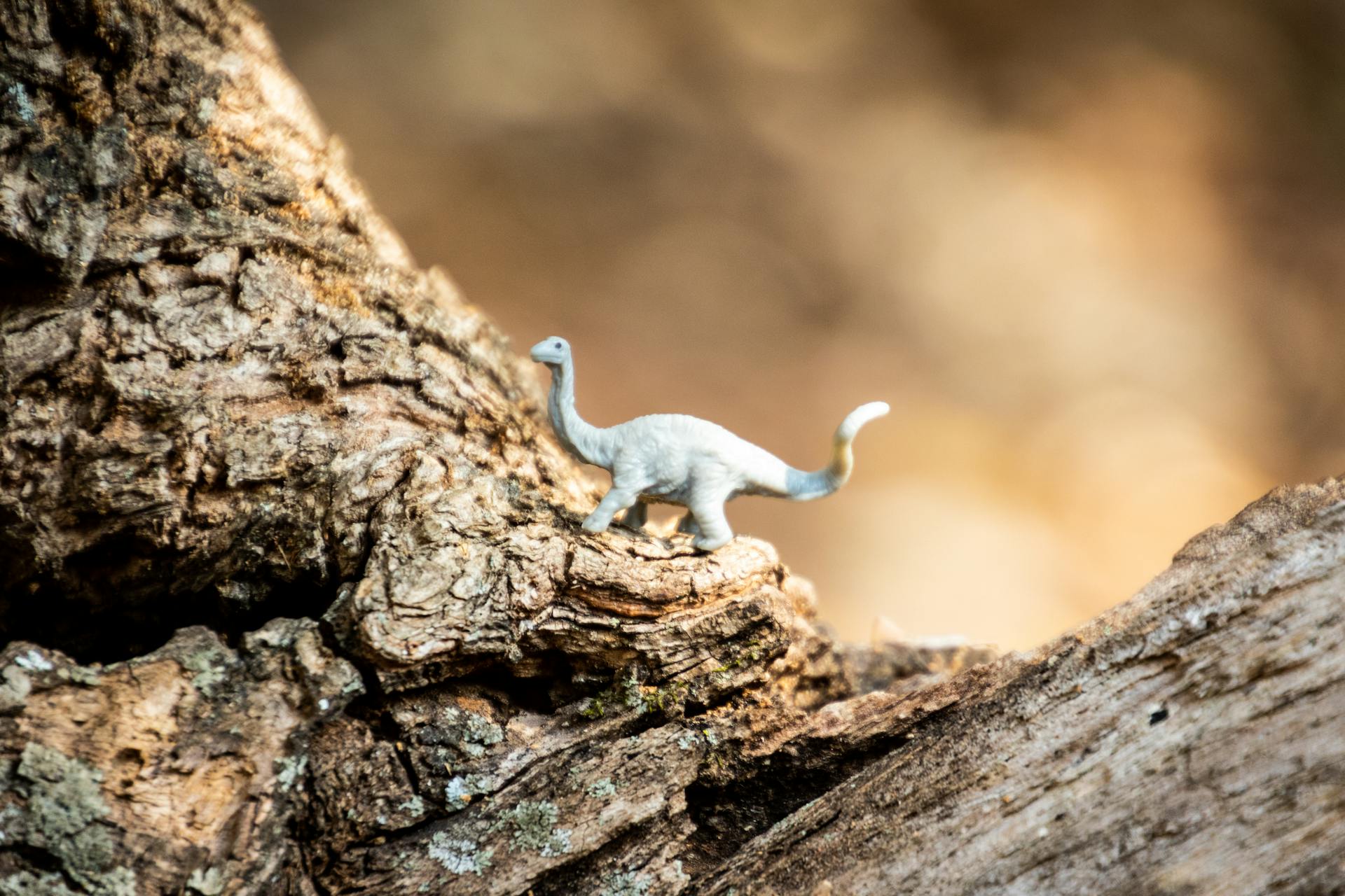 Dino banner image